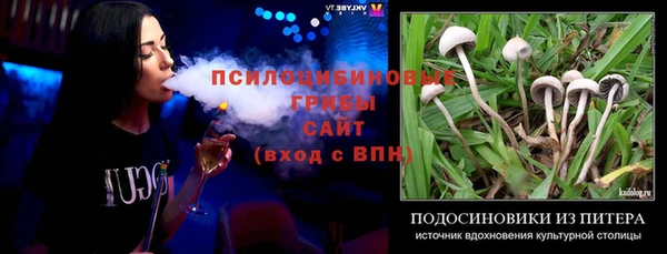 стаф Балахна