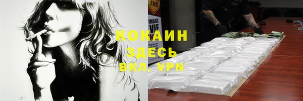 стаф Балахна