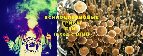 соль курить ск Балабаново