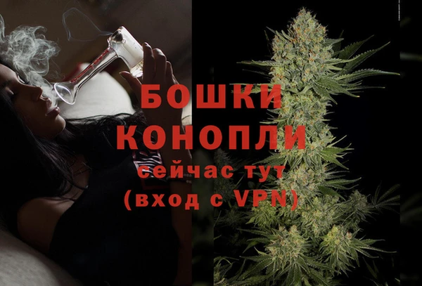 стаф Балахна