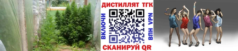 ТГК Wax ссылка на мегу Красный Сулин