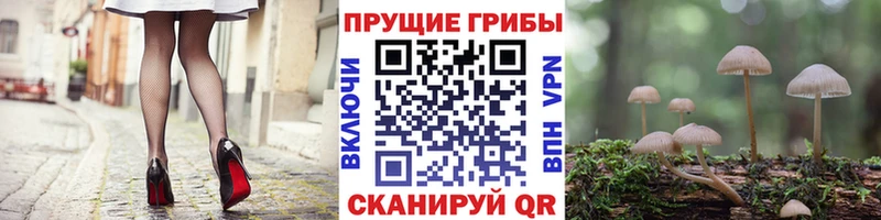 Псилоцибиновые грибы мухоморы  купить наркотики сайты  Красный Сулин 